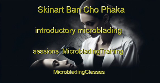 Skinart Ban Cho Phaka introductory microblading sessions | MicrobladingTraining | MicrobladingClasses | SkinartTraining-Thailand