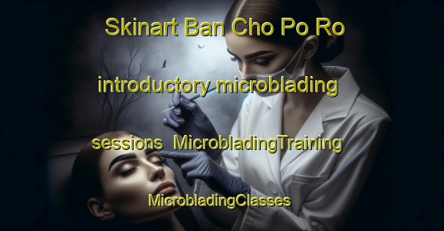 Skinart Ban Cho Po Ro introductory microblading sessions | MicrobladingTraining | MicrobladingClasses | SkinartTraining-Thailand