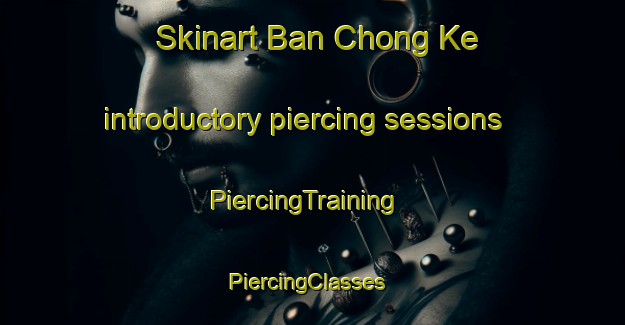 Skinart Ban Chong Ke introductory piercing sessions | PiercingTraining | PiercingClasses | SkinartTraining-Thailand