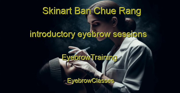 Skinart Ban Chue Rang introductory eyebrow sessions | EyebrowTraining | EyebrowClasses | SkinartTraining-Thailand