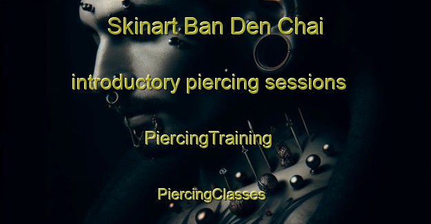 Skinart Ban Den Chai introductory piercing sessions | PiercingTraining | PiercingClasses | SkinartTraining-Thailand