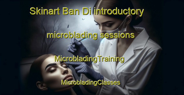 Skinart Ban Di introductory microblading sessions | MicrobladingTraining | MicrobladingClasses | SkinartTraining-Thailand