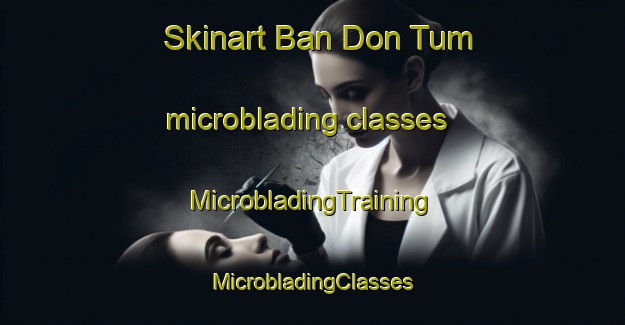 Skinart Ban Don Tum microblading classes | #MicrobladingTraining #MicrobladingClasses #SkinartTraining-Thailand