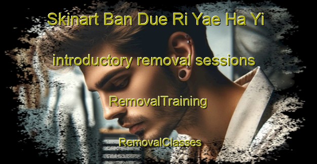 Skinart Ban Due Ri Yae Ha Yi introductory removal sessions | RemovalTraining | RemovalClasses | SkinartTraining-Thailand