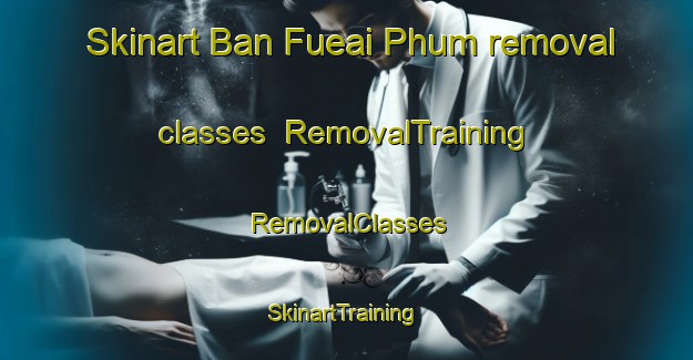 Skinart Ban Fueai Phum removal classes | RemovalTraining | RemovalClasses | SkinartTraining-Thailand