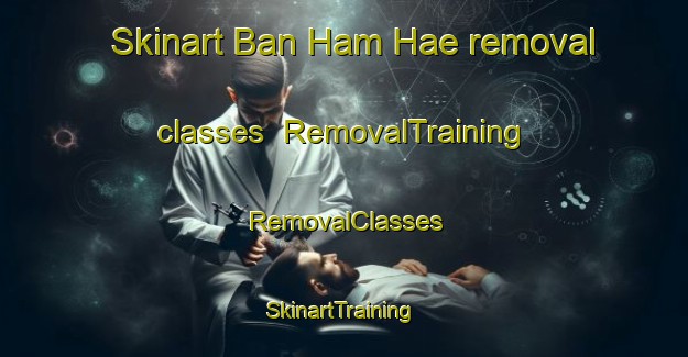 Skinart Ban Ham Hae removal classes | RemovalTraining | RemovalClasses | SkinartTraining-Thailand