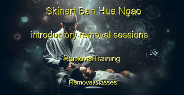 Skinart Ban Hua Ngao introductory removal sessions | RemovalTraining | RemovalClasses | SkinartTraining-Thailand