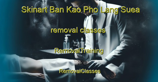 Skinart Ban Kao Pho Lang Suea removal classes | RemovalTraining | RemovalClasses | SkinartTraining-Thailand