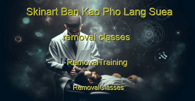 Skinart Ban Kao Pho Lang Suea removal classes | RemovalTraining | RemovalClasses | SkinartTraining-Thailand