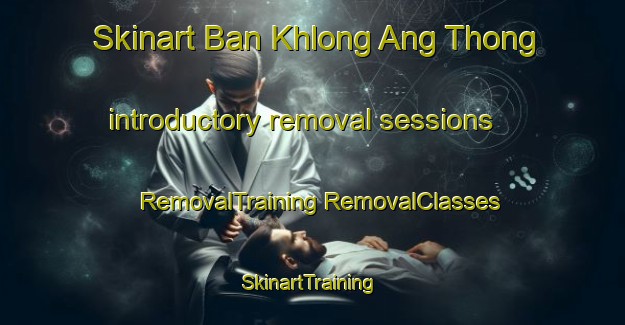 Skinart Ban Khlong Ang Thong introductory removal sessions | #RemovalTraining #RemovalClasses #SkinartTraining-Thailand