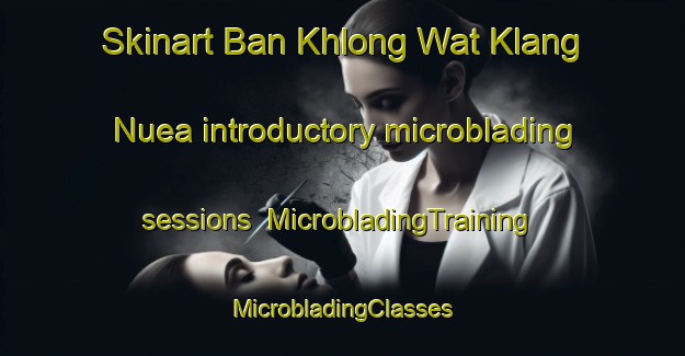 Skinart Ban Khlong Wat Klang Nuea introductory microblading sessions | #MicrobladingTraining #MicrobladingClasses #SkinartTraining-Thailand