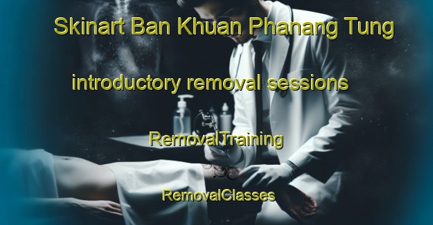 Skinart Ban Khuan Phanang Tung introductory removal sessions | RemovalTraining | RemovalClasses | SkinartTraining-Thailand