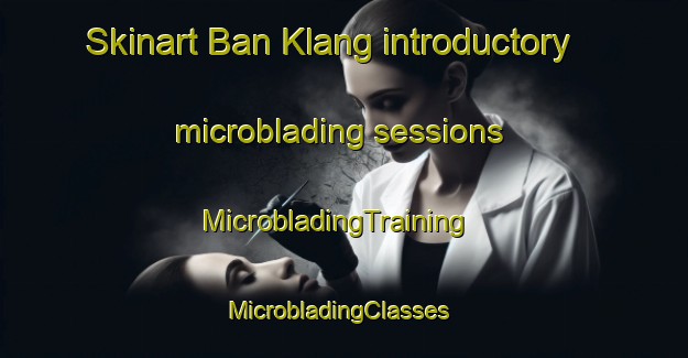 Skinart Ban Klang introductory microblading sessions | MicrobladingTraining | MicrobladingClasses | SkinartTraining-Thailand