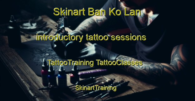 Skinart Ban Ko Lan introductory tattoo sessions | #TattooTraining #TattooClasses #SkinartTraining-Thailand