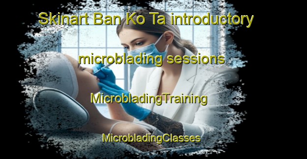 Skinart Ban Ko Ta introductory microblading sessions | MicrobladingTraining | MicrobladingClasses | SkinartTraining-Thailand