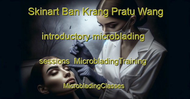 Skinart Ban Krang Pratu Wang introductory microblading sessions | MicrobladingTraining | MicrobladingClasses | SkinartTraining-Thailand