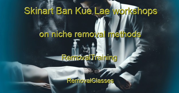 Skinart Ban Kue Lae workshops on niche removal methods | RemovalTraining | RemovalClasses | SkinartTraining-Thailand