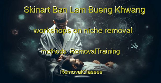 Skinart Ban Lam Bueng Khwang workshops on niche removal methods | RemovalTraining | RemovalClasses | SkinartTraining-Thailand