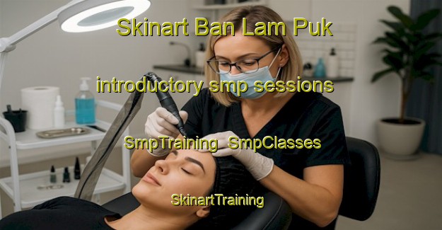 Skinart Ban Lam Puk introductory smp sessions | SmpTraining | SmpClasses | SkinartTraining-Thailand
