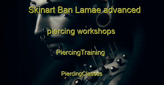 Skinart Ban Lamae advanced piercing workshops | #PiercingTraining #PiercingClasses #SkinartTraining-Thailand