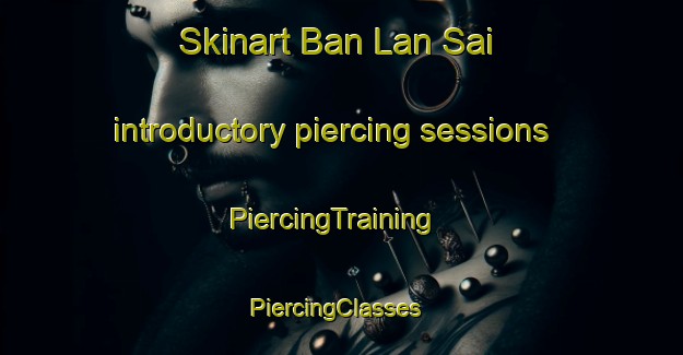 Skinart Ban Lan Sai introductory piercing sessions | PiercingTraining | PiercingClasses | SkinartTraining-Thailand