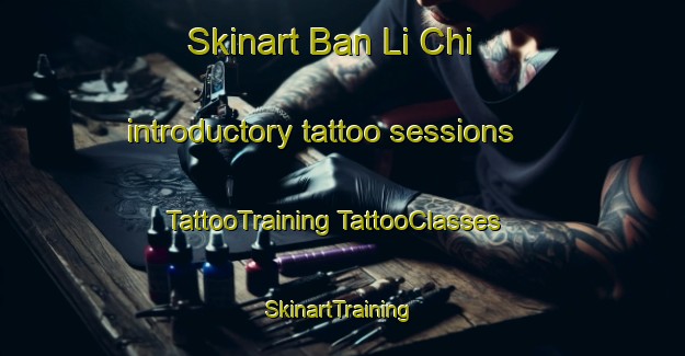 Skinart Ban Li Chi introductory tattoo sessions | #TattooTraining #TattooClasses #SkinartTraining-Thailand