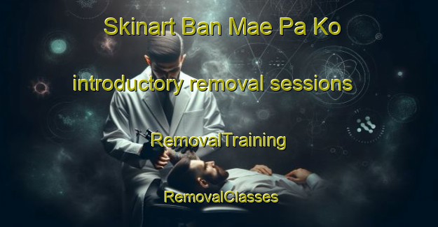 Skinart Ban Mae Pa Ko introductory removal sessions | RemovalTraining | RemovalClasses | SkinartTraining-Thailand