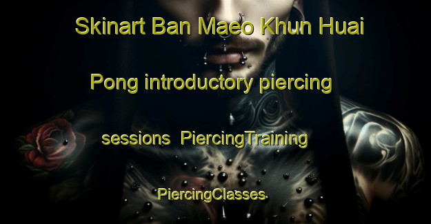 Skinart Ban Maeo Khun Huai Pong introductory piercing sessions | PiercingTraining | PiercingClasses | SkinartTraining-Thailand