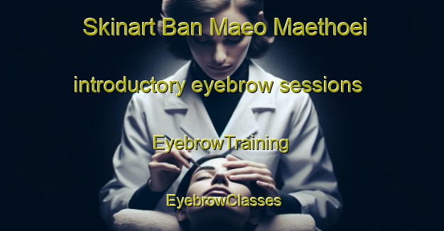 Skinart Ban Maeo Maethoei introductory eyebrow sessions | EyebrowTraining | EyebrowClasses | SkinartTraining-Thailand