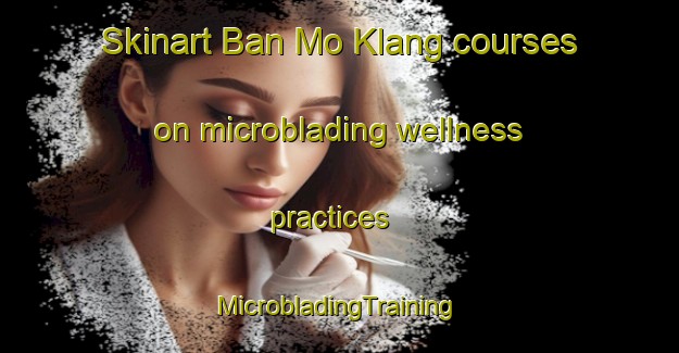 Skinart Ban Mo Klang courses on microblading wellness practices | #MicrobladingTraining #MicrobladingClasses #SkinartTraining-Thailand