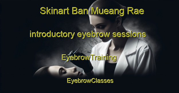 Skinart Ban Mueang Rae introductory eyebrow sessions | EyebrowTraining | EyebrowClasses | SkinartTraining-Thailand