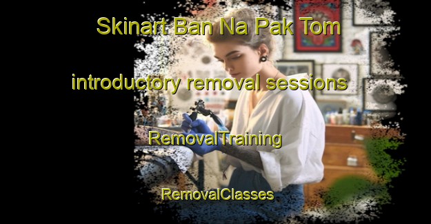 Skinart Ban Na Pak Tom introductory removal sessions | RemovalTraining | RemovalClasses | SkinartTraining-Thailand