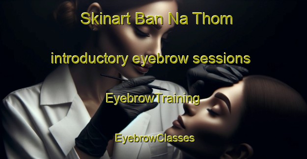 Skinart Ban Na Thom introductory eyebrow sessions | EyebrowTraining | EyebrowClasses | SkinartTraining-Thailand