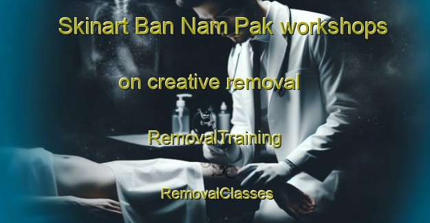Skinart Ban Nam Pak workshops on creative removal | RemovalTraining | RemovalClasses | SkinartTraining-Thailand