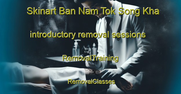 Skinart Ban Nam Tok Song Kha introductory removal sessions | RemovalTraining | RemovalClasses | SkinartTraining-Thailand
