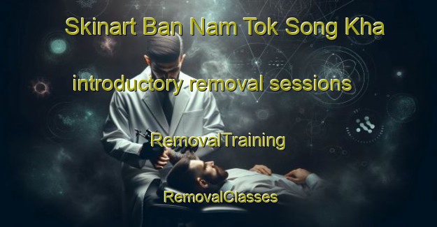 Skinart Ban Nam Tok Song Kha introductory removal sessions | RemovalTraining | RemovalClasses | SkinartTraining-Thailand