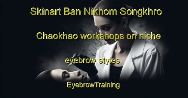 Skinart Ban Nikhom Songkhro Chaokhao workshops on niche eyebrow styles | EyebrowTraining | EyebrowClasses | SkinartTraining-Thailand