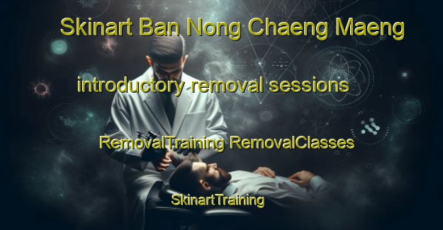 Skinart Ban Nong Chaeng Maeng introductory removal sessions | #RemovalTraining #RemovalClasses #SkinartTraining-Thailand