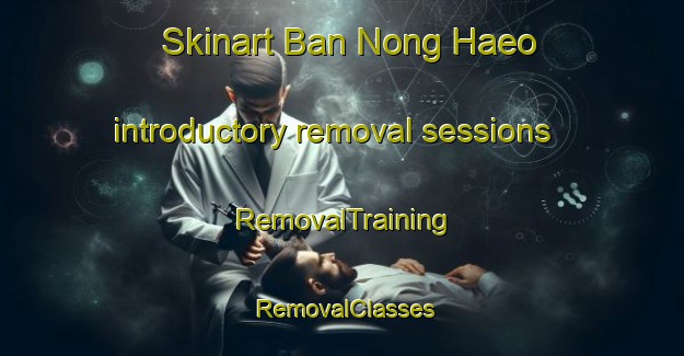 Skinart Ban Nong Haeo introductory removal sessions | RemovalTraining | RemovalClasses | SkinartTraining-Thailand