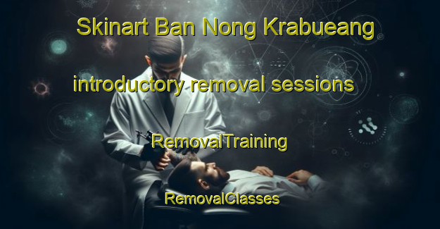 Skinart Ban Nong Krabueang introductory removal sessions | RemovalTraining | RemovalClasses | SkinartTraining-Thailand