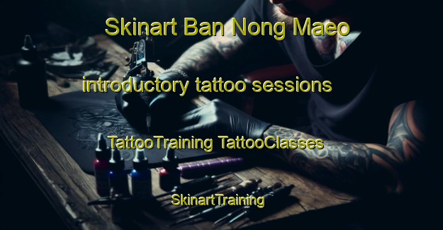 Skinart Ban Nong Maeo introductory tattoo sessions | #TattooTraining #TattooClasses #SkinartTraining-Thailand