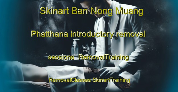 Skinart Ban Nong Muang Phatthana introductory removal sessions | #RemovalTraining #RemovalClasses #SkinartTraining-Thailand