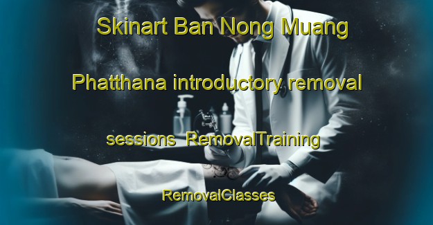 Skinart Ban Nong Muang Phatthana introductory removal sessions | RemovalTraining | RemovalClasses | SkinartTraining-Thailand