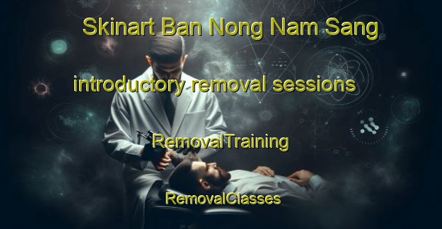 Skinart Ban Nong Nam Sang introductory removal sessions | RemovalTraining | RemovalClasses | SkinartTraining-Thailand