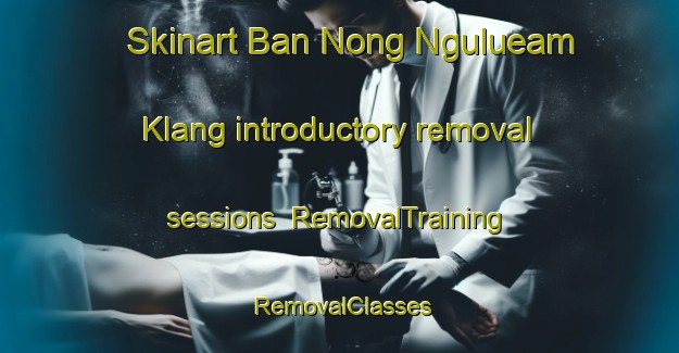 Skinart Ban Nong Ngulueam Klang introductory removal sessions | RemovalTraining | RemovalClasses | SkinartTraining-Thailand