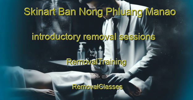 Skinart Ban Nong Phluang Manao introductory removal sessions | RemovalTraining | RemovalClasses | SkinartTraining-Thailand