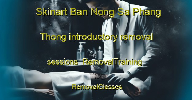 Skinart Ban Nong Sa Phang Thong introductory removal sessions | RemovalTraining | RemovalClasses | SkinartTraining-Thailand