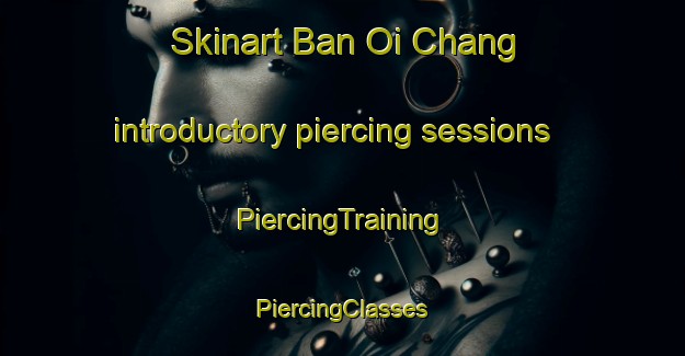 Skinart Ban Oi Chang introductory piercing sessions | #PiercingTraining #PiercingClasses #SkinartTraining-Thailand