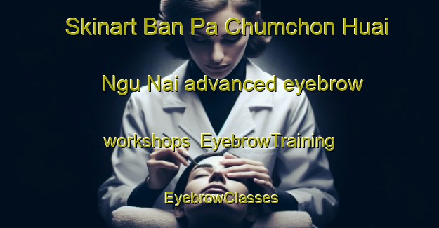 Skinart Ban Pa Chumchon Huai Ngu Nai advanced eyebrow workshops | EyebrowTraining | EyebrowClasses | SkinartTraining-Thailand