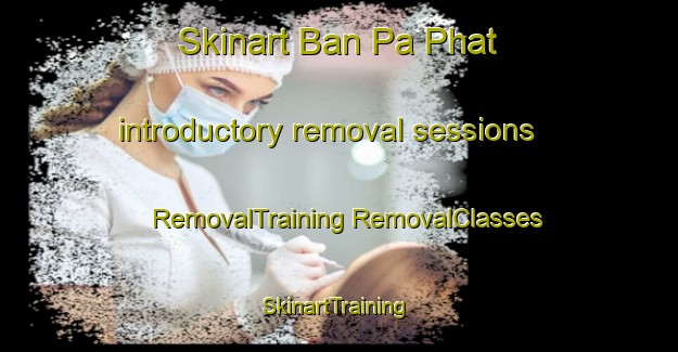 Skinart Ban Pa Phat introductory removal sessions | #RemovalTraining #RemovalClasses #SkinartTraining-Thailand